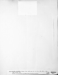 Image of Hyponectria cooperta